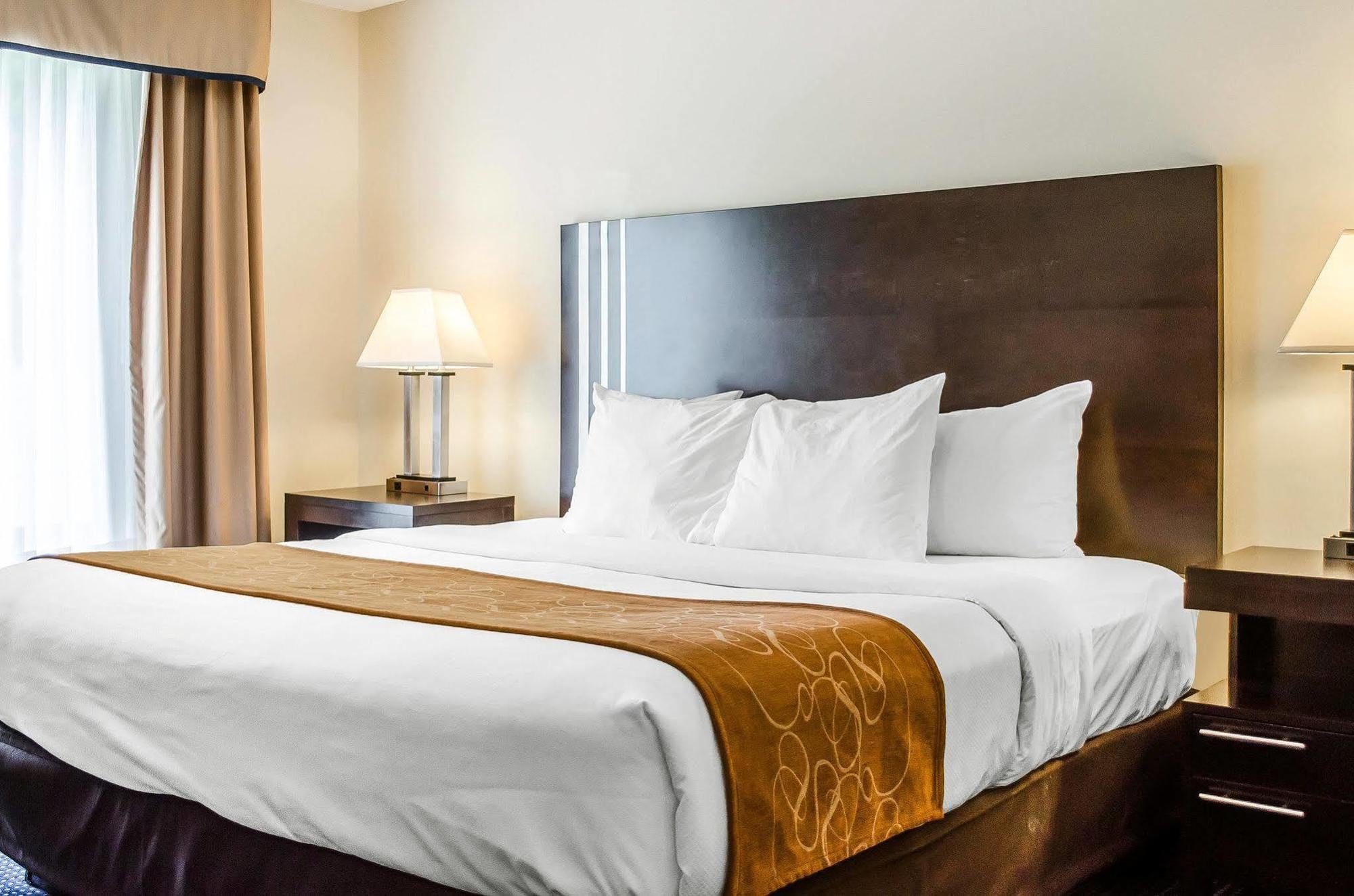 Comfort Suites Lancaster Amish Country Hotel Smoketown (Lancaster County)